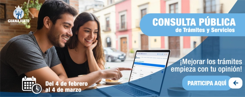 banner consulta pública